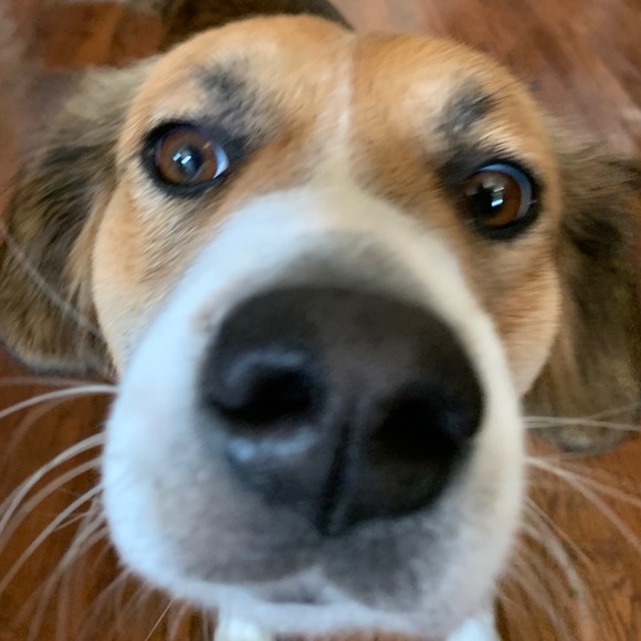 Meet your Posher, Heather - Picture 3 of 9